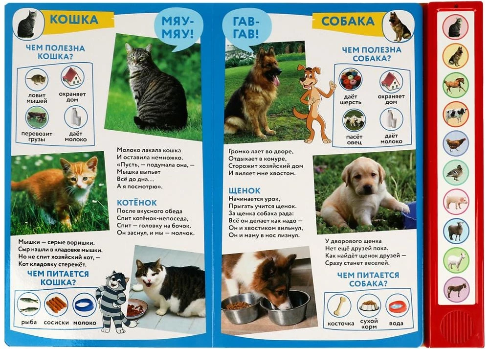 Domestic Animals of Prostokvashino