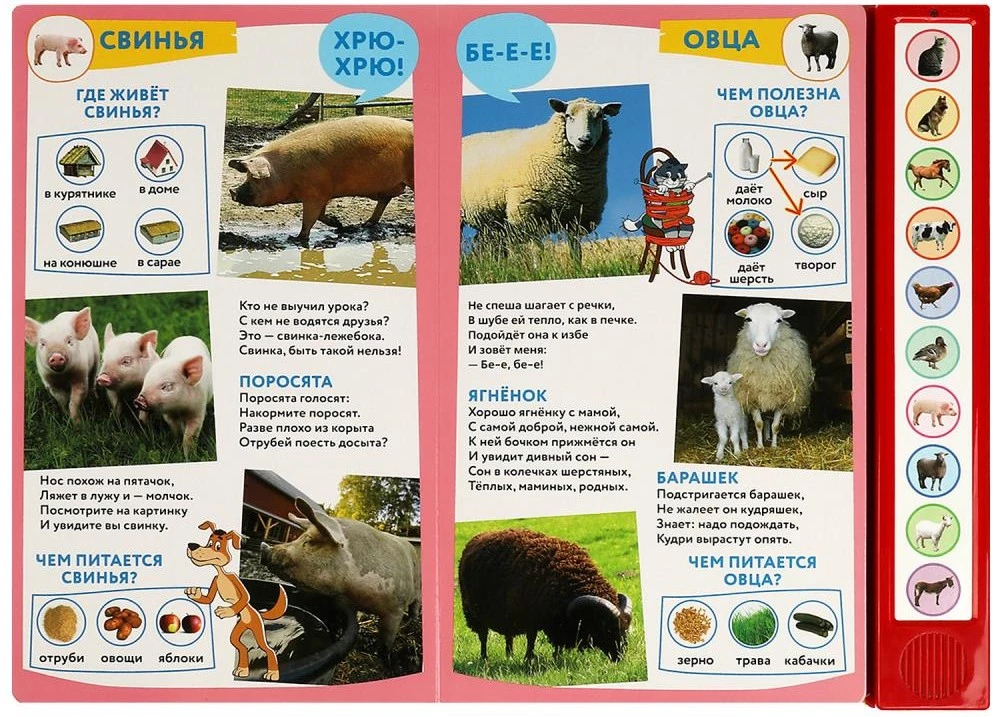 Domestic Animals of Prostokvashino