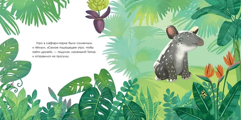 Tapir is looking for friends