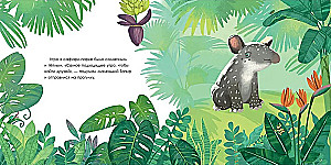 Tapir is looking for friends