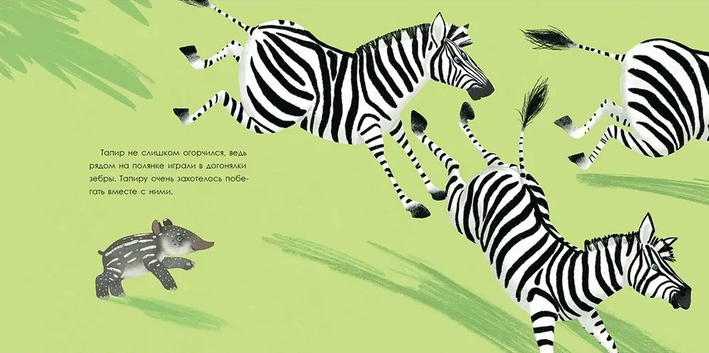 Tapir is looking for friends