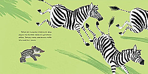 Tapir is looking for friends