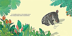 Tapir is looking for friends