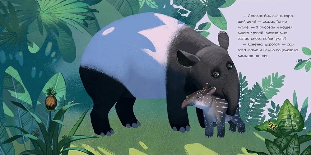Tapir is looking for friends