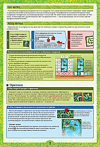 Brettspiel - Carcassonne. Amazonas