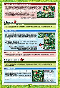 Brettspiel - Carcassonne. Amazonas