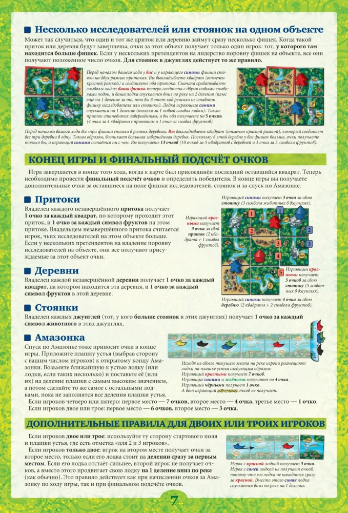 Brettspiel - Carcassonne. Amazonas