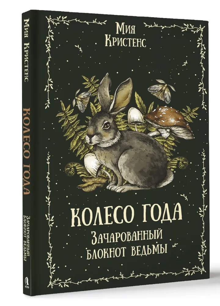 Koło roku. Zaklęty notes czarownicy