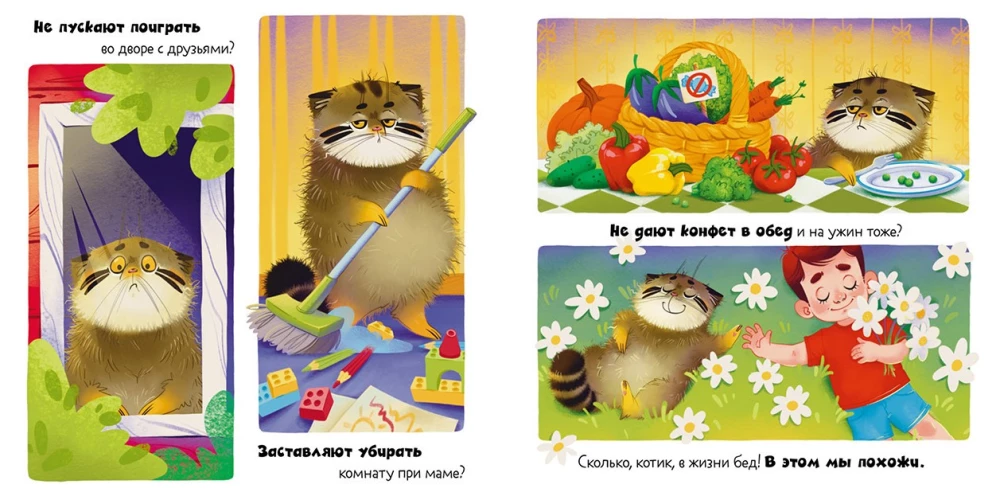 Why is the Pallas's cat angry?