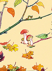 The Three Little Pigs
