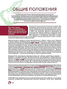 Wino owocowo-jagodne. Technologia domowego przygotowania