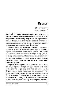 Тринадцатая запись