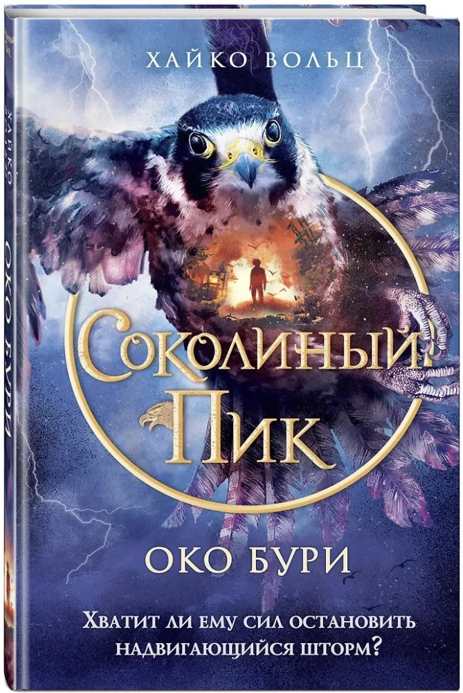 Соколиный пик. Око бури