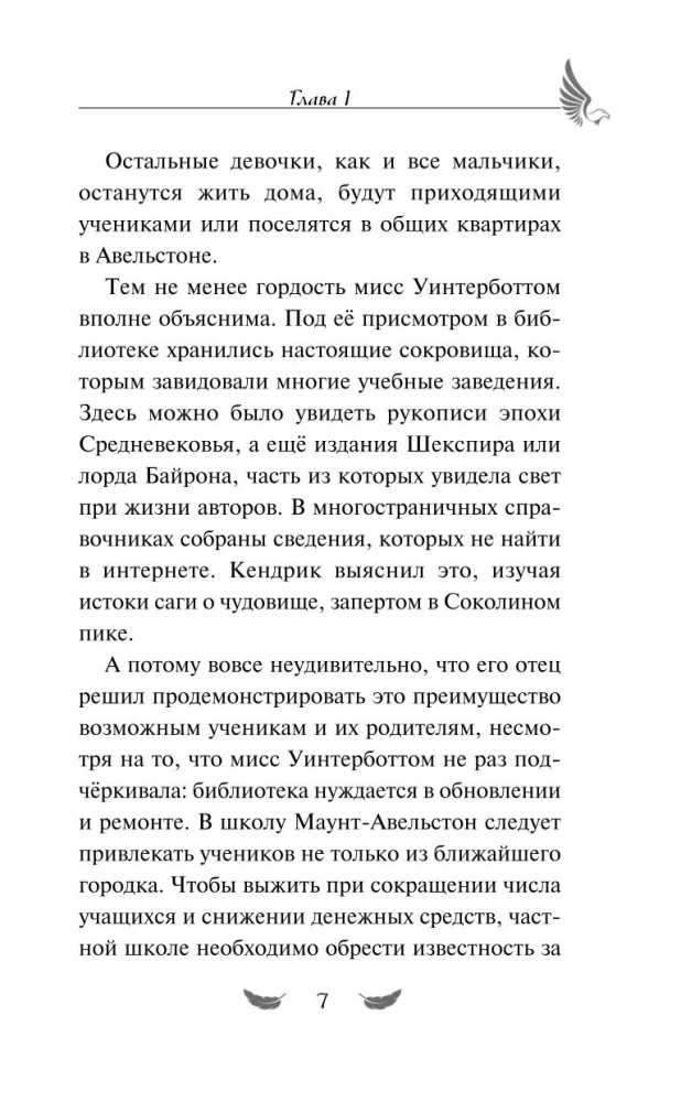 Соколиный пик. Око бури
