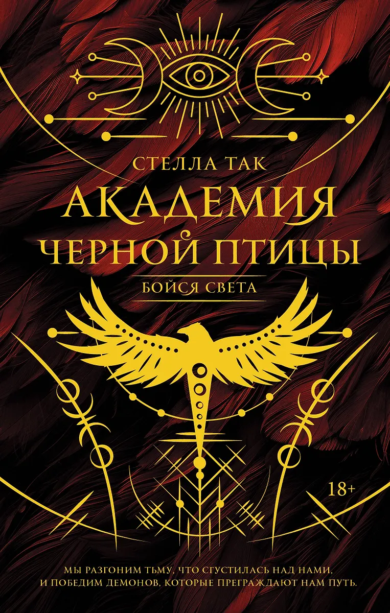Academy of the Black Bird. Beware the Light