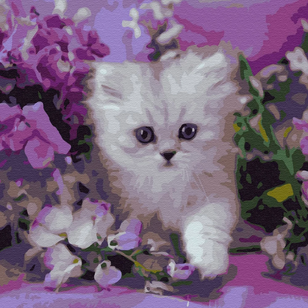 Painting by Numbers - Kitten in Lilac Tones
