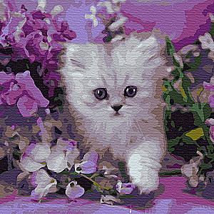 Painting by Numbers - Kitten in Lilac Tones