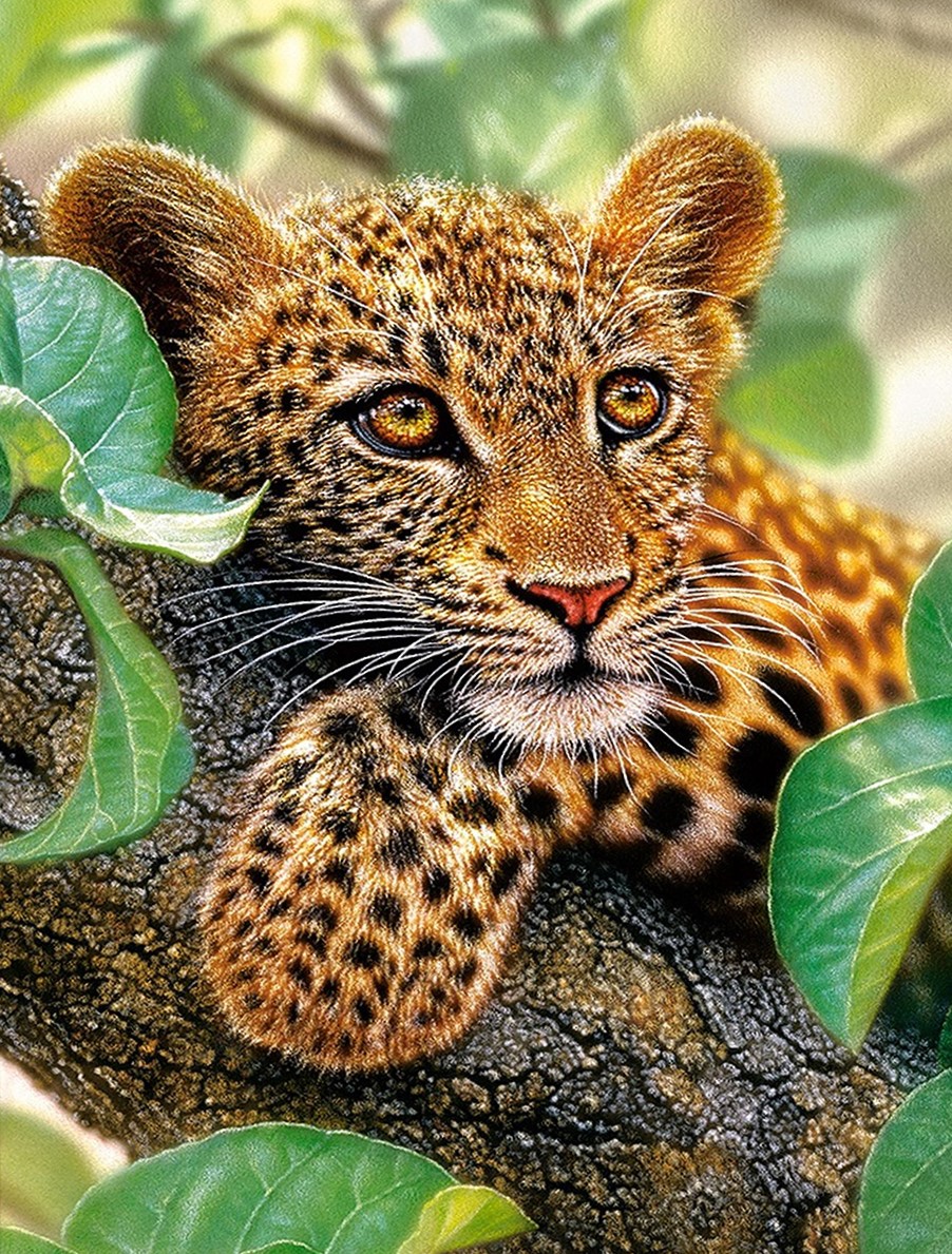 3D-Diamantmosaik mit aufgedrucktem Rahmen - Leopard