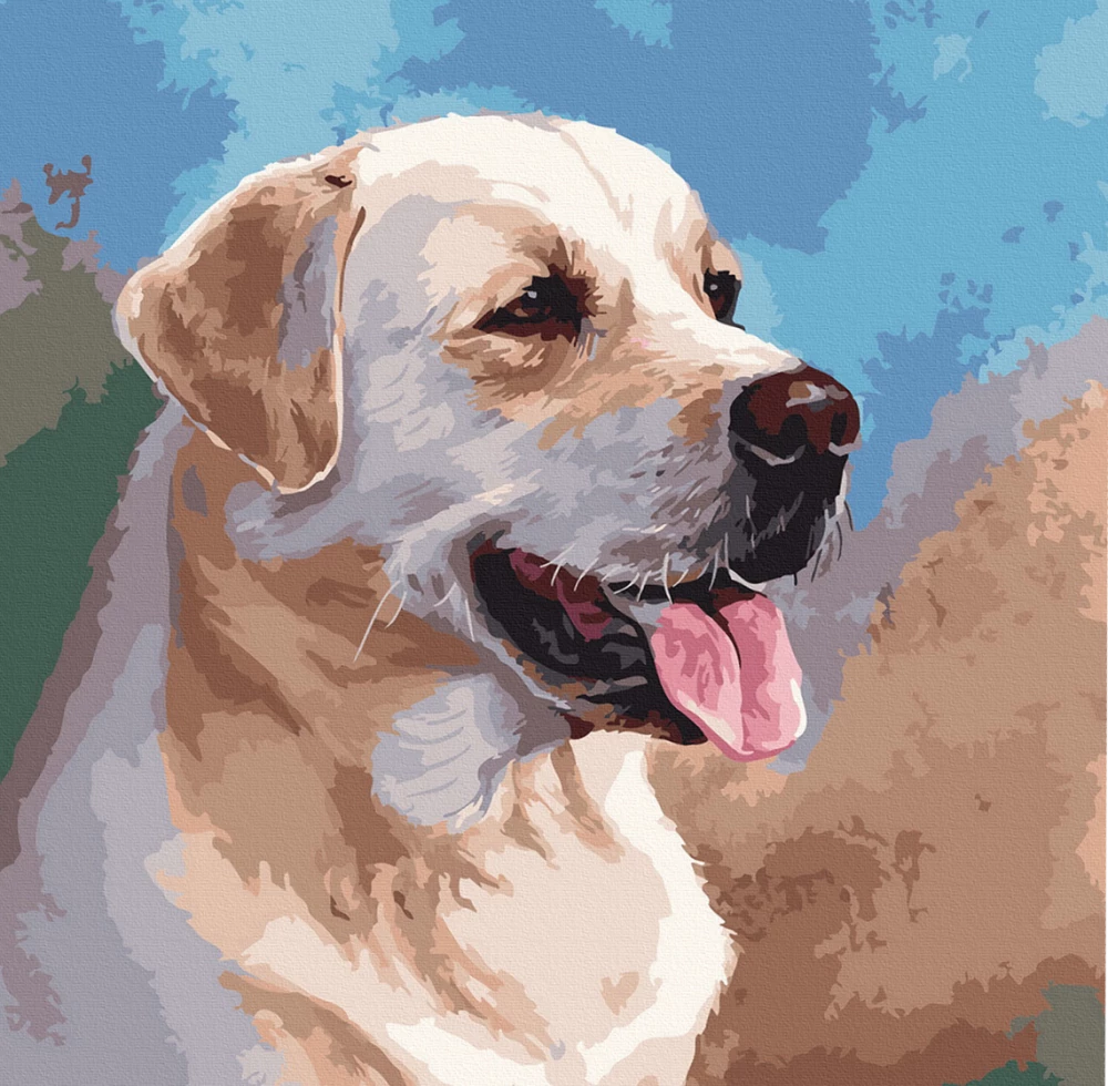 Paint by Numbers - Labrador Retriever
