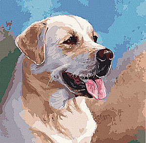 Paint by Numbers - Labrador Retriever