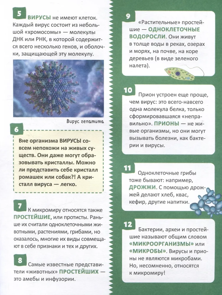 Microworld. Encyclopedia of the Russian Schoolboy
