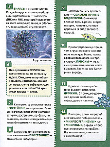 Mikroświat. Encyklopedia rosyjskiego ucznia