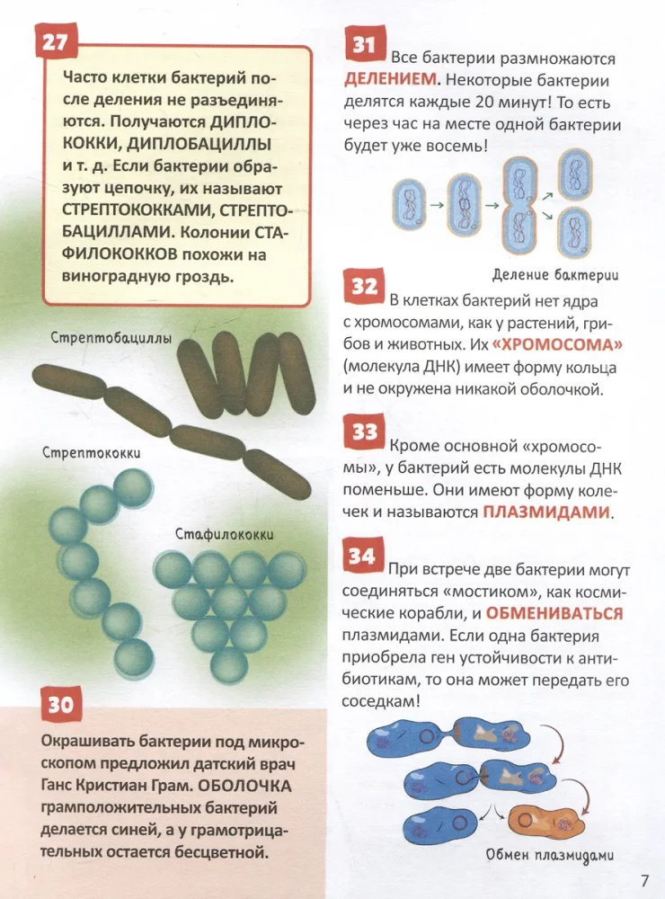 Microworld. Encyclopedia of the Russian Schoolboy