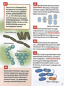 Mikroświat. Encyklopedia rosyjskiego ucznia