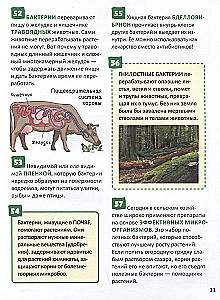 Microworld. Encyclopedia of the Russian Schoolboy