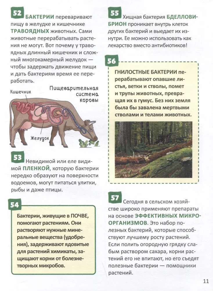 Mikroświat. Encyklopedia rosyjskiego ucznia