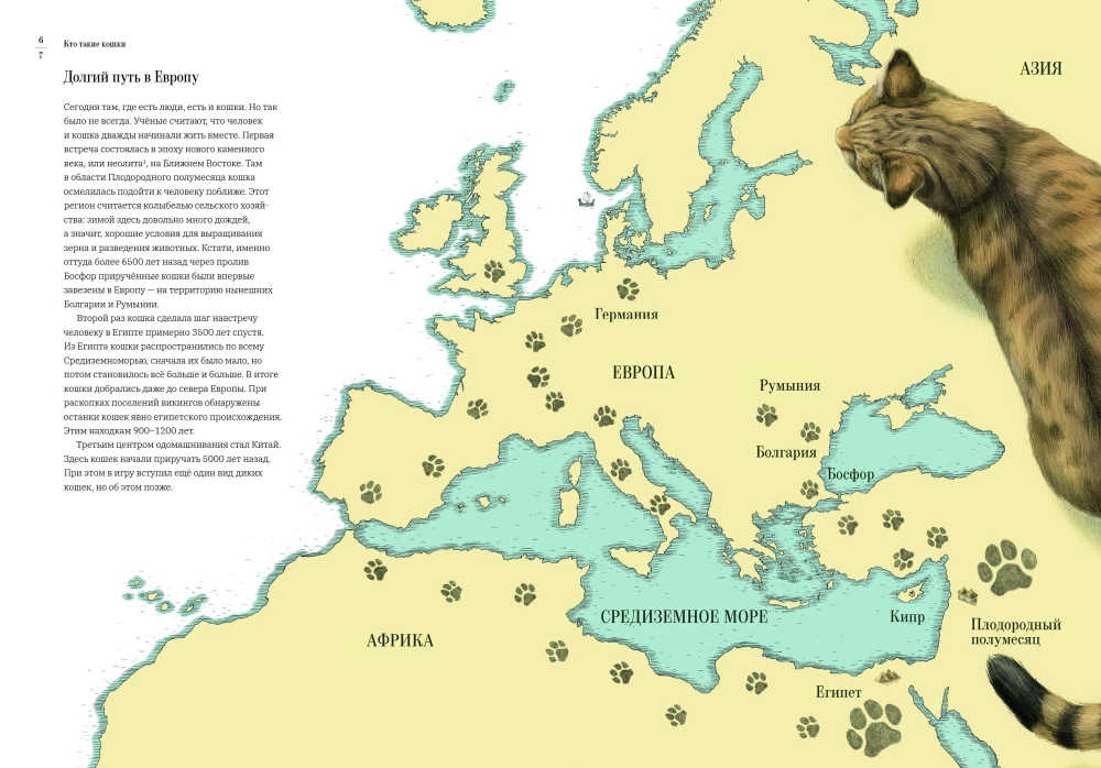 Jak kot oswoił człowieka. Historia kotów i ludzi