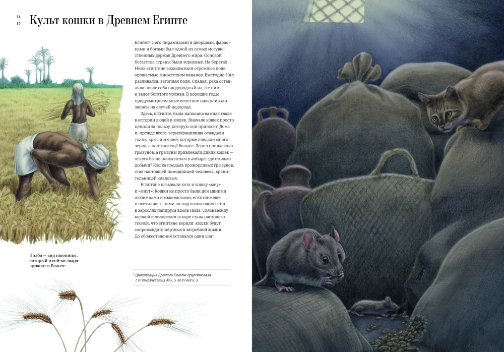Jak kot oswoił człowieka. Historia kotów i ludzi