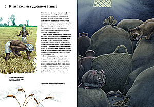 Jak kot oswoił człowieka. Historia kotów i ludzi
