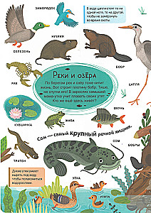My First Dictionary. Living Nature