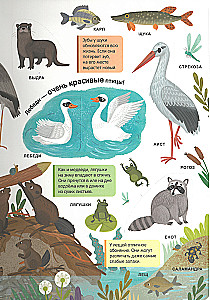 My First Dictionary. Living Nature