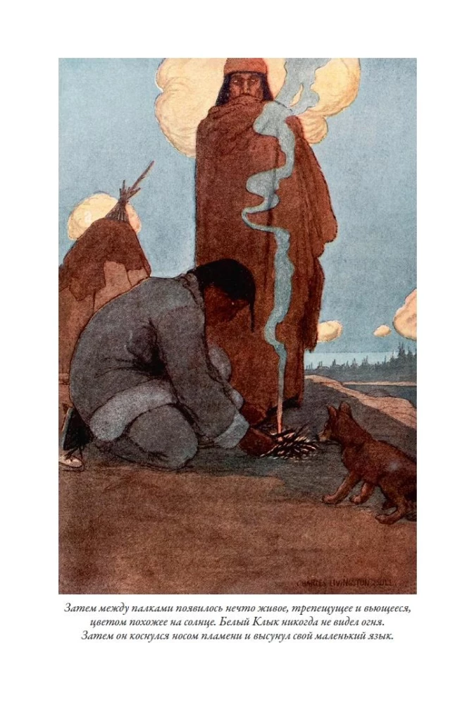 Zew przodków. Biały kieł. Opowiadania
