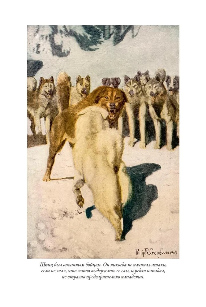 Zew przodków. Biały kieł. Opowiadania