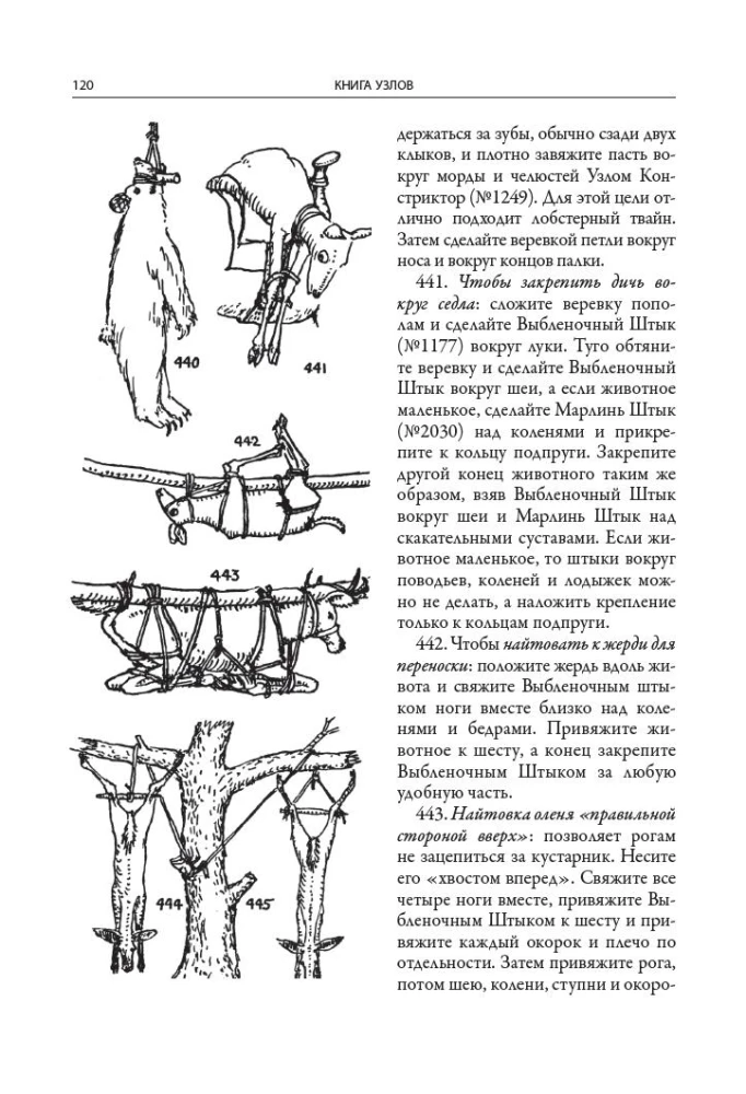 The Book of Knots