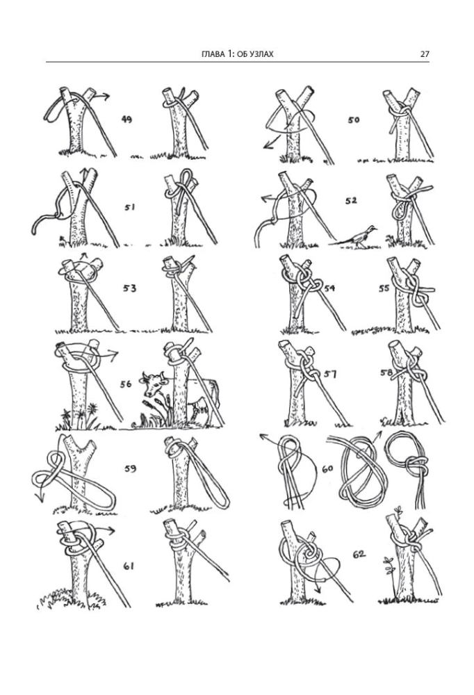 The Book of Knots