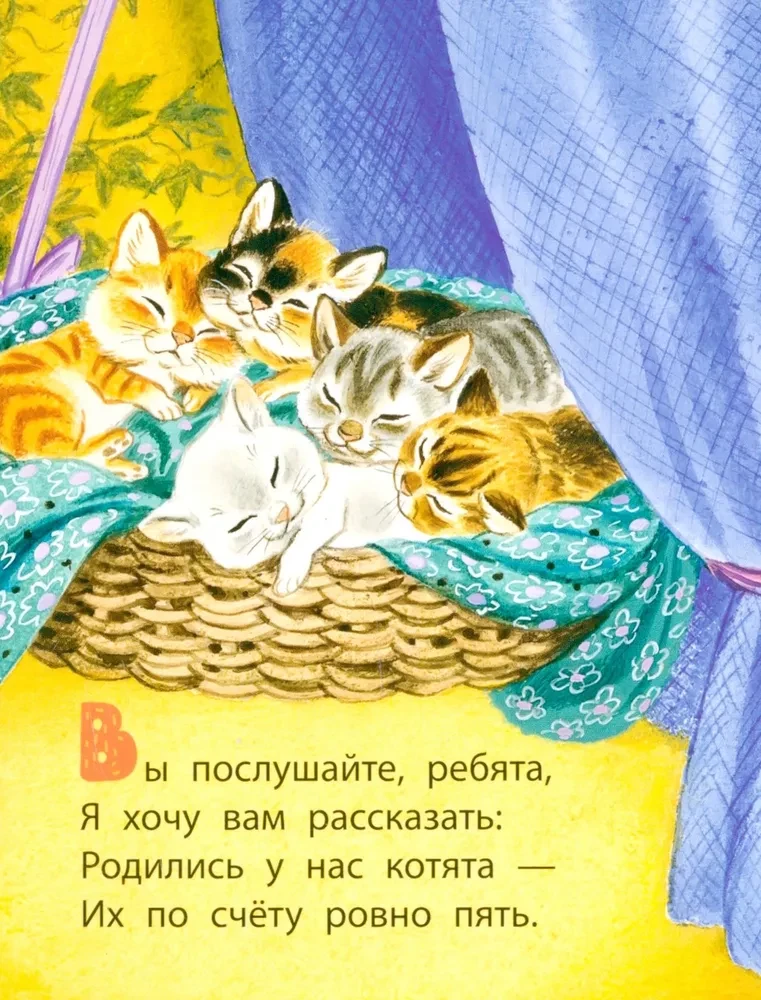 Kittens