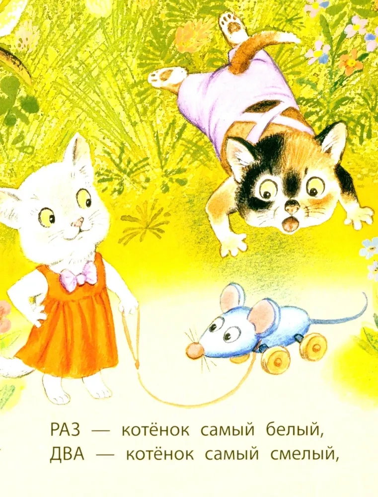 Kittens