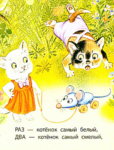 Kittens