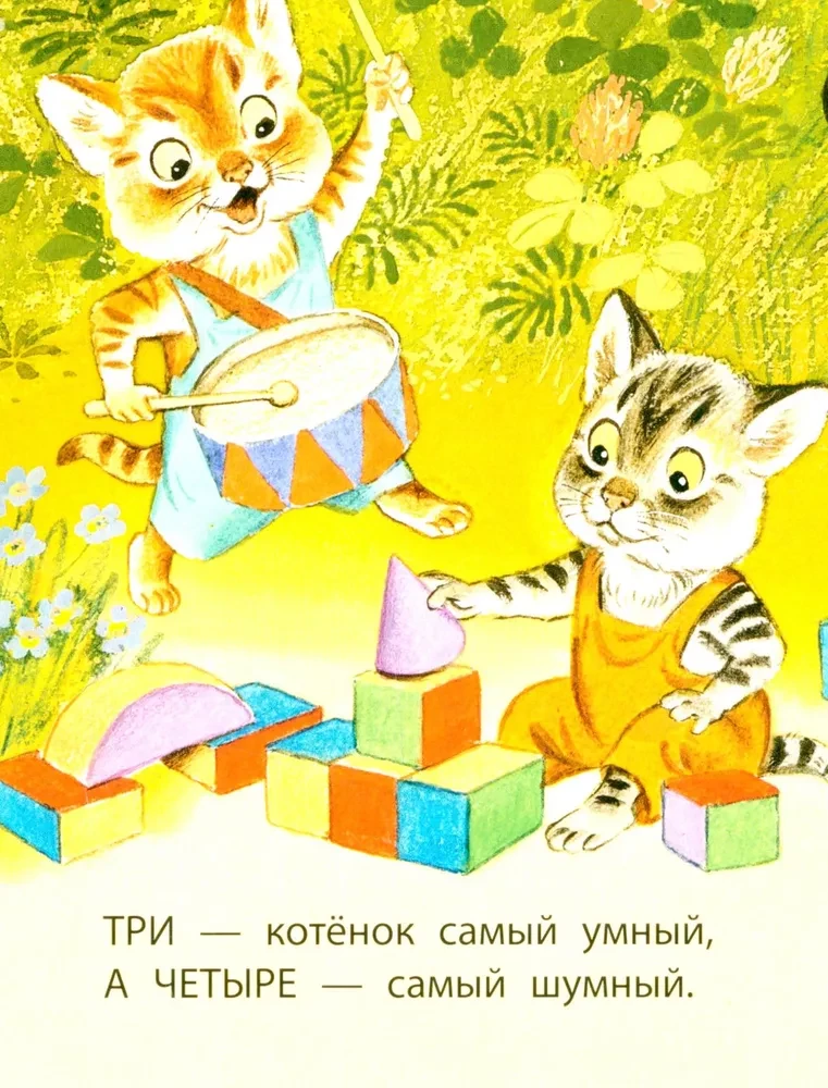 Kittens