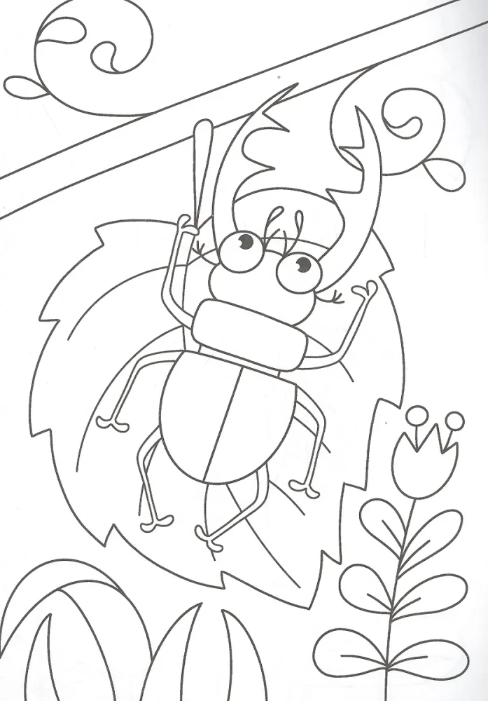 A4 Coloring Book. Bugs