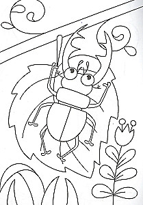 A4 Coloring Book. Bugs
