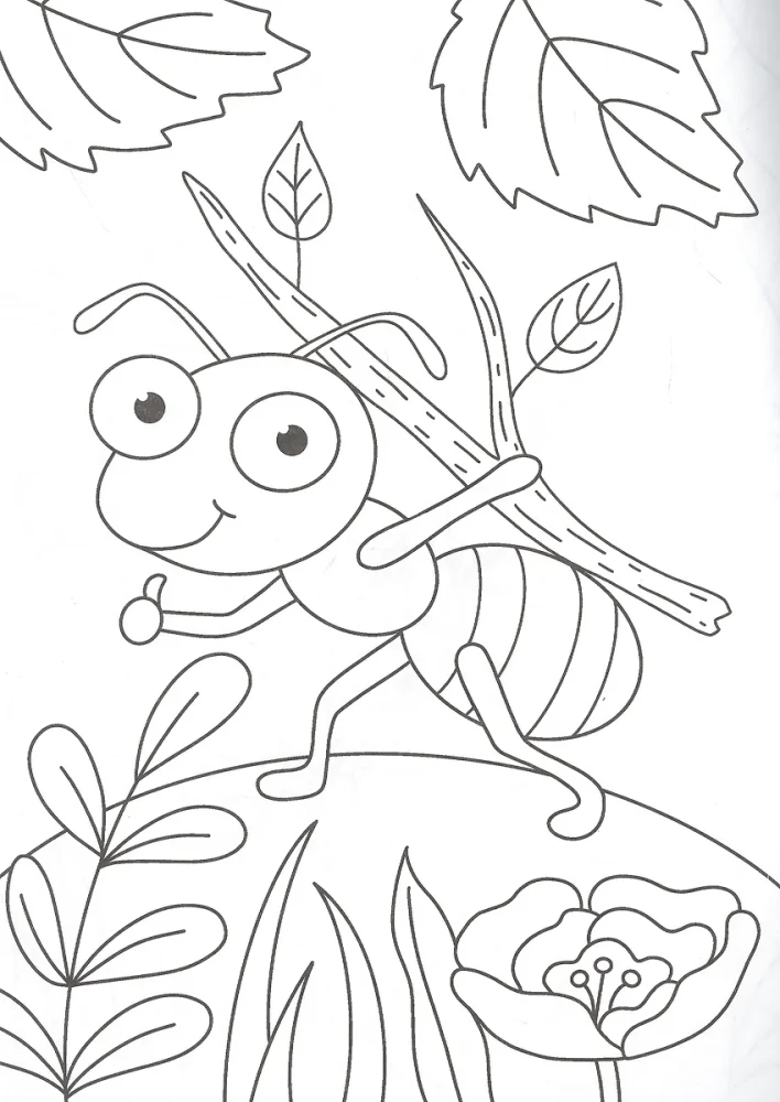 A4 Coloring Book. Bugs