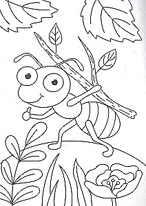 A4 Coloring Book. Bugs