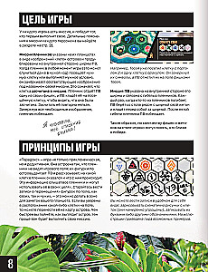Brettspiel - Paradox