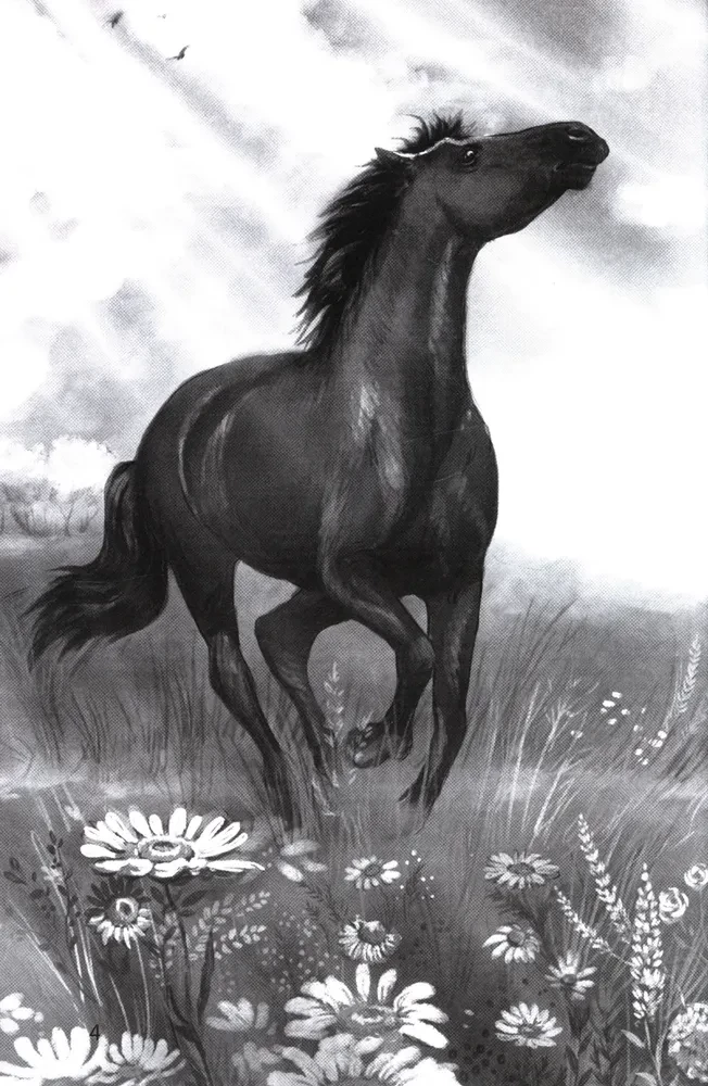 Galloping Towards