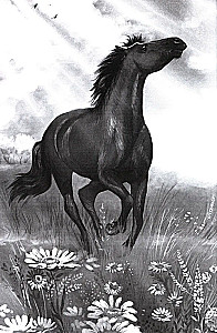 Galloping Towards